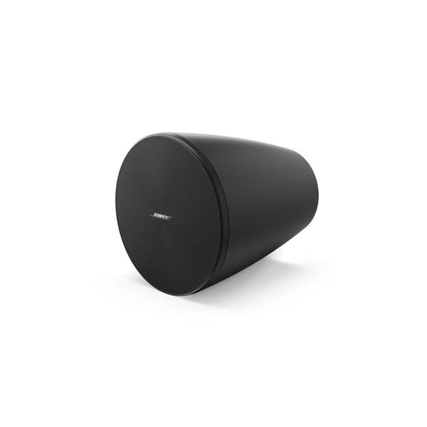 Bose Pro Designmax DM5P Enceinte suspendue Black (paire)