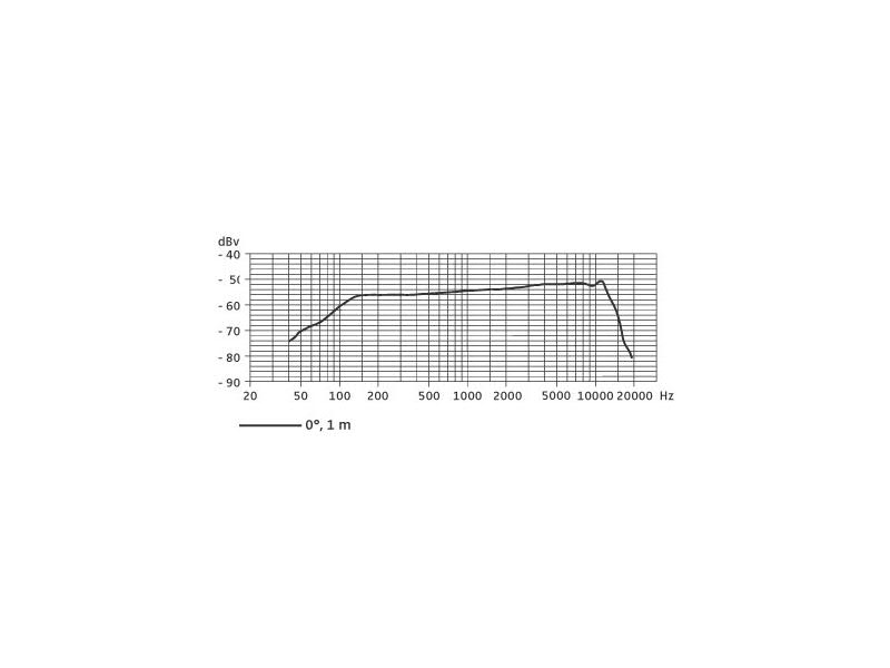 Sennheiser e 904