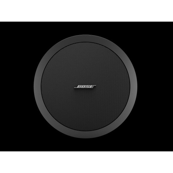 Bose Pro FREESPACE DS100F