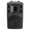 Speaker Pro Contest ACUTE 10 AMP