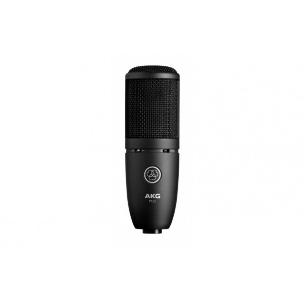 AKG P120 