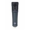 Neumann U89 I MT