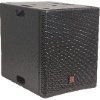 Enceinte de Sonorisation BST FIRSTSA18SDSP2