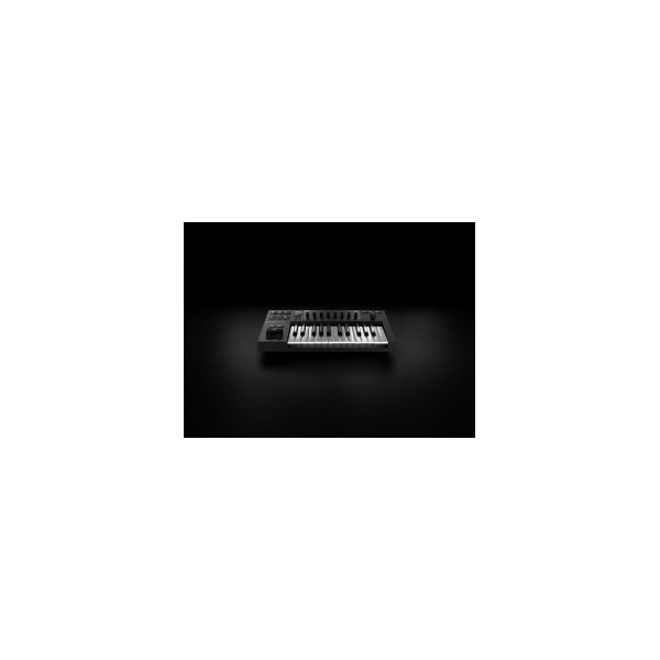 Native Instruments A25NATIVE