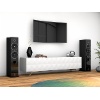 Speaker Elipson PRESTIGE FACET 14F BLACK (Unit)