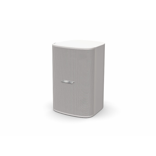 Bose Pro DESIGNMAX DM5SE (Unit )